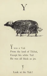 De letter Y